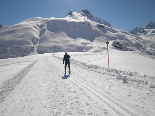 cross country-skiing in the area