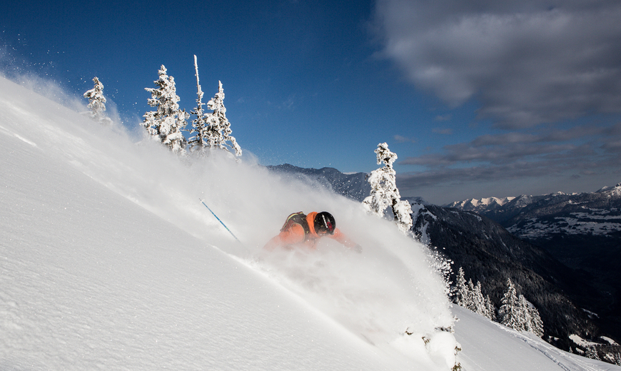 Ein Freerider auf Ski genießt seinen Powderrun im Neuschnee