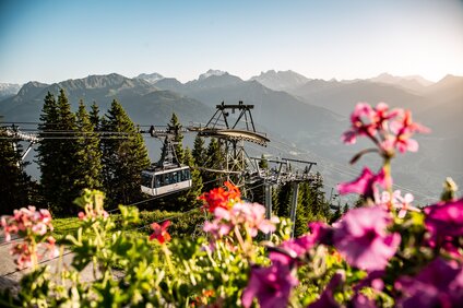 Die Hochjoch Bahn der Silvretta Montafon schwebt in die Bergstation mit schönen Blumen im Vordergrund | © Silvretta Montafon - Friederike Weber