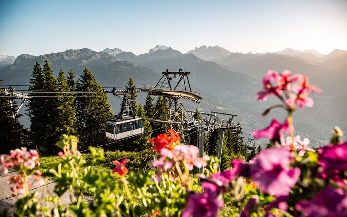 Die Hochjoch Bahn der Silvretta Montafon schwebt in die Bergstation mit schönen Blumen im Vordergrund | © Silvretta Montafon - Friederike Weber