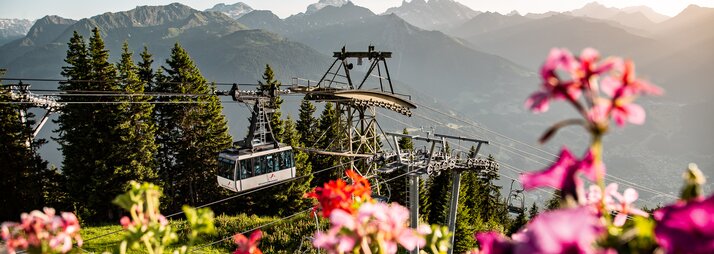 Die Hochjoch Bahn der Silvretta Montafon schwebt in die Bergstation mit schönen Blumen im Vordergrund | © Silvretta Montafon - Friederike Weber