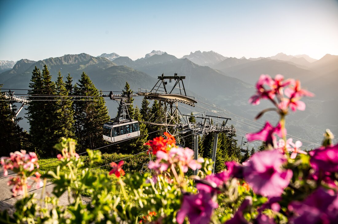 Hochjoch Bahn - Silvretta Montafon | © Silvretta Montafon - Friederike Weber Die Hochjoch Bahn der Silvretta Montafon schwebt in die Bergstation mit schönen Blumen im Vordergrund | © Silvretta Montafon - Friederike Weber