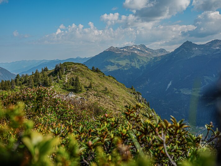 Der Sommer in der Silvretta Montafon  | © Silvretta Montafon 