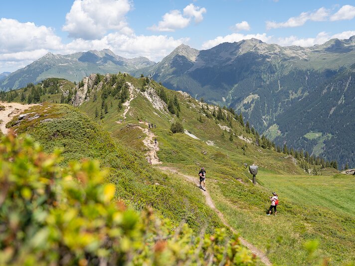 Trailrunner laufen beim MTT 26 vor beeindruckender Bergkulisse in der Silvretta Montafon | © Silvretta Montafon - Sara Kluber
