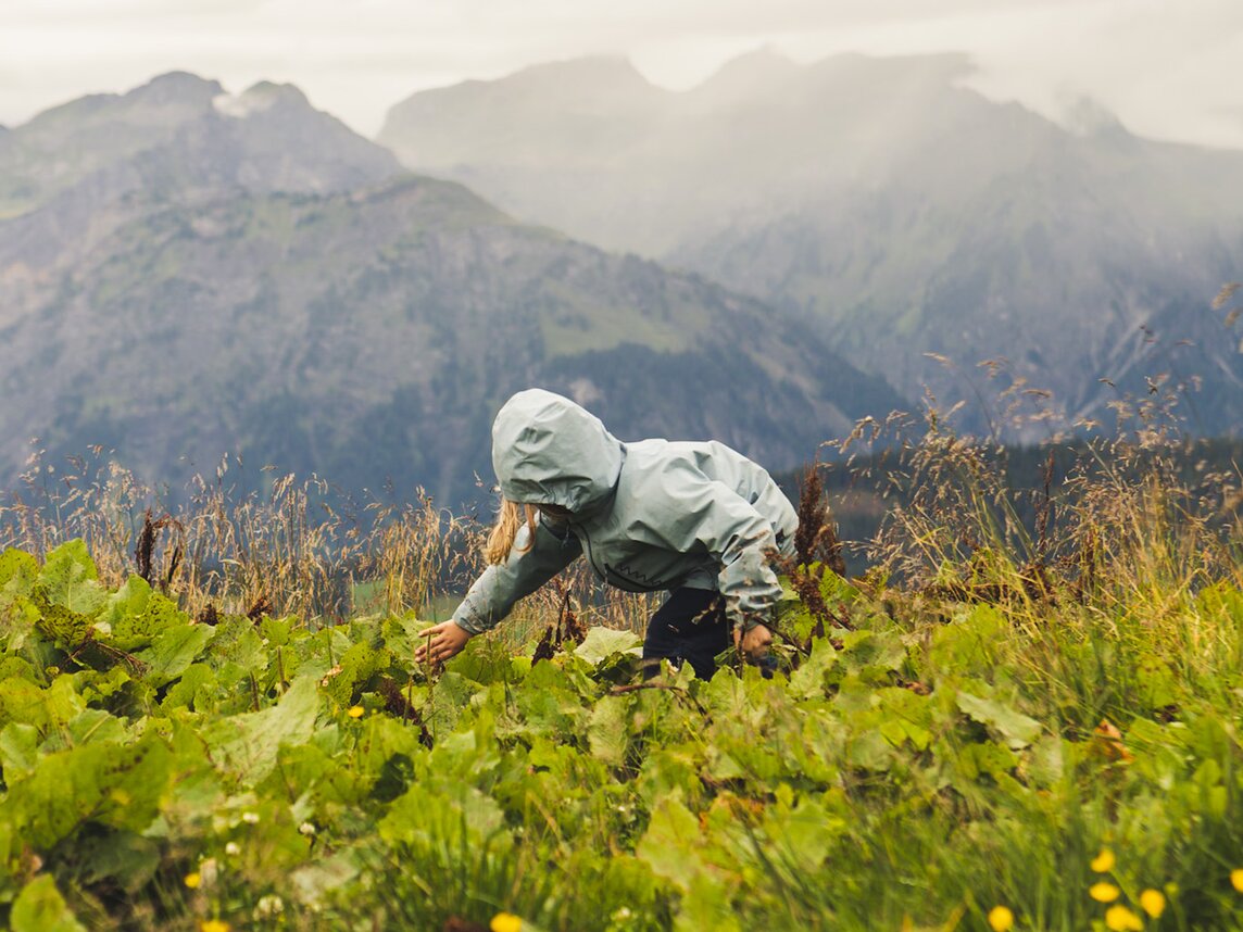 Ein Kind pflückt Blumen auf einer grünem Wiese im Regen in den Bergen. | © Silvretta Montafon - Roadtyping