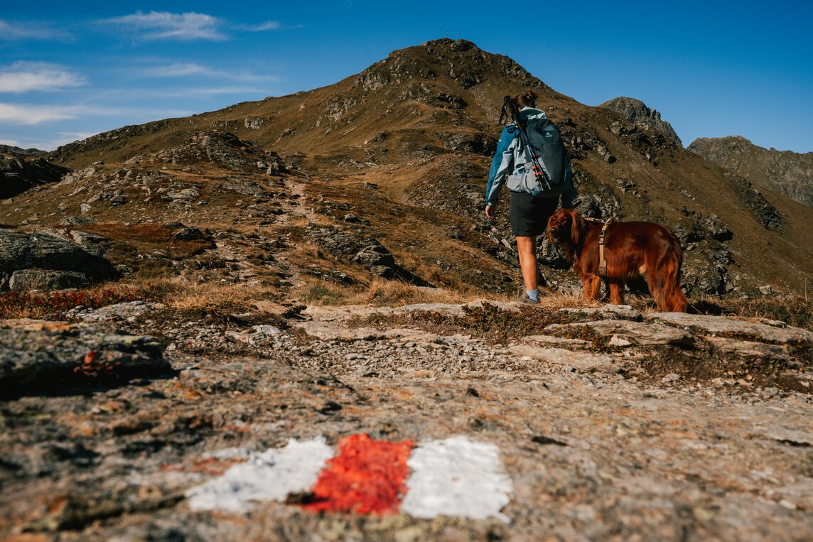 Mensch mit Hund bei der Wanderung in der Silvretta Montafon | © Silvretta Montafon - Vanessa Strauch