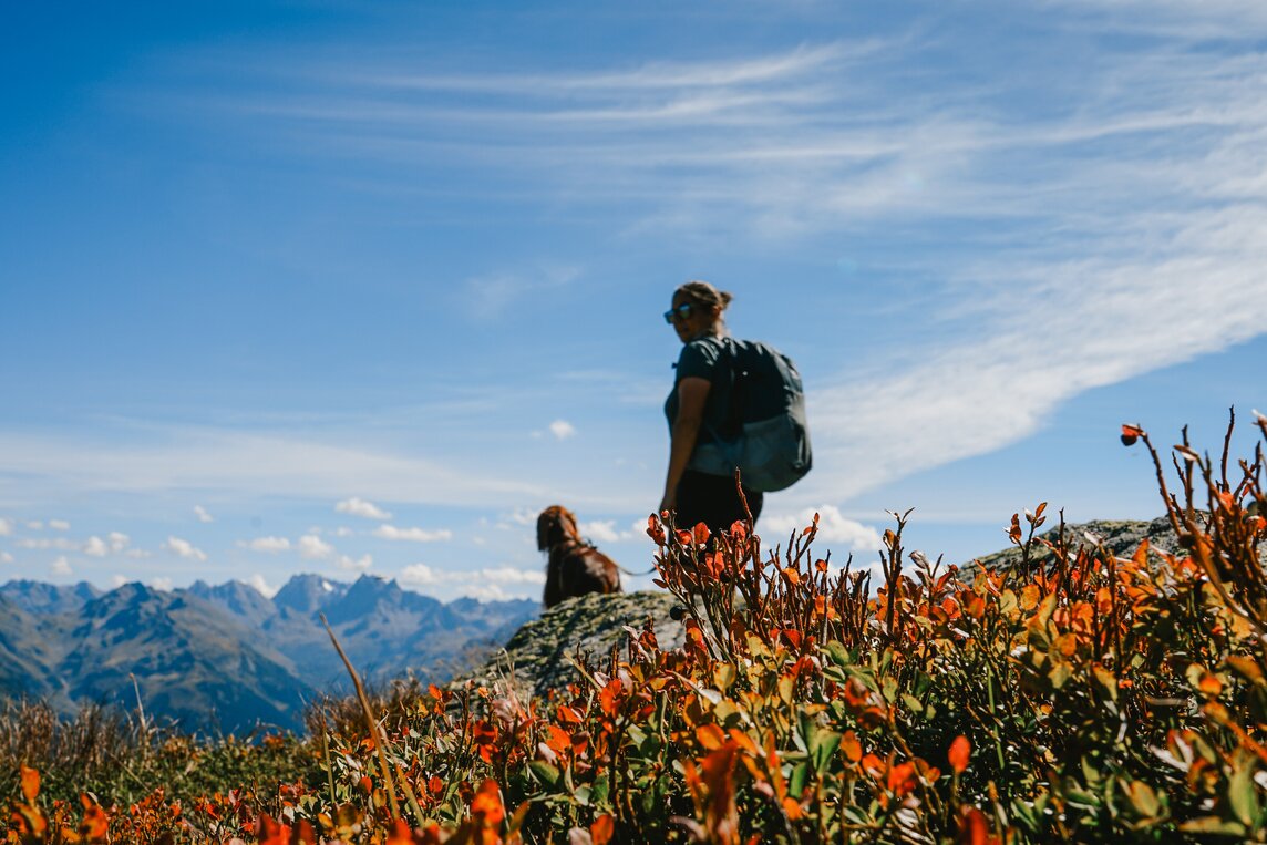 Mensch mit Hund beim wandern in der Silvretta Montafon  | © Silvretta Montafon - Vanessa Strauch