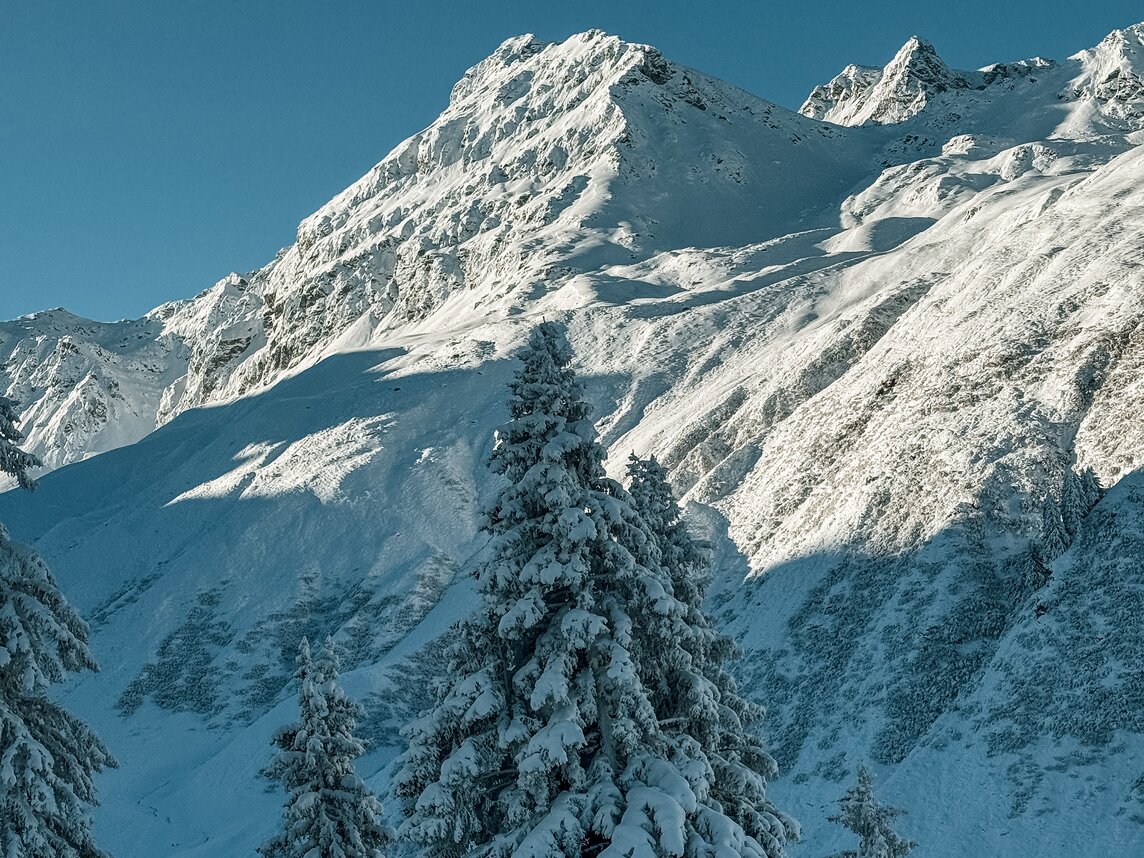 Verschneite Berge und Bäume in der Silvretta Montafon. | © Silvretta Montafon - Vanessa Strauch