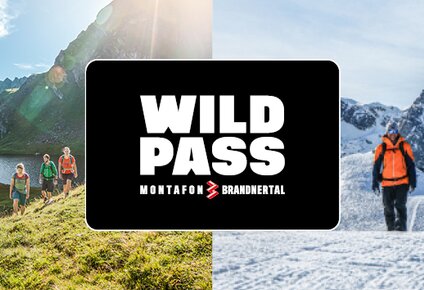 Sujet mit Sommer und Winterbild und WildPass Logo. | © Silvretta Montafon