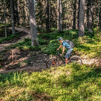 Ein Biker fährt im Wald im Bikepark am Hochjoch in der Silvretta Montafon. | © Frederike Weber - Silvretta Montafon