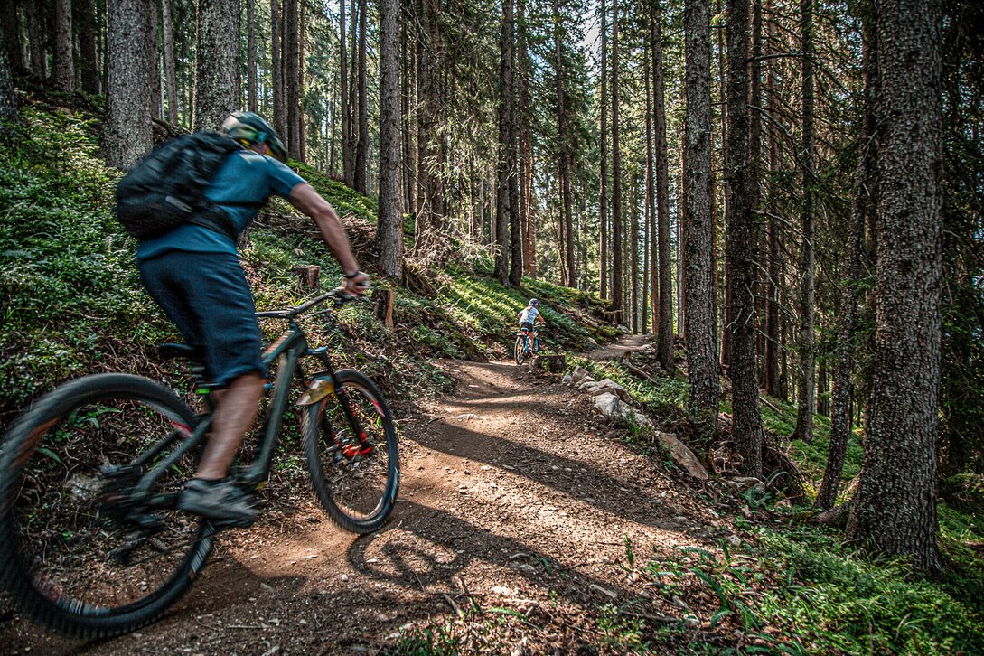 Ein Mountainbiker mit seinen Kindern fährt im Bikepark am Hochjoch durch den Wald in der Silvretta Montafon. | © Silvretta Montafon - Friederike Weber