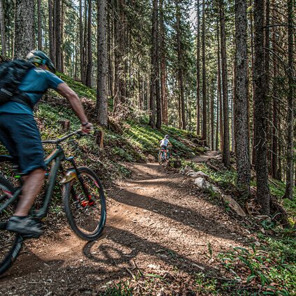 Ein Mountainbiker mit seinen Kindern fährt im Bikepark am Hochjoch durch den Wald in der Silvretta Montafon. | © Silvretta Montafon - Friederike Weber