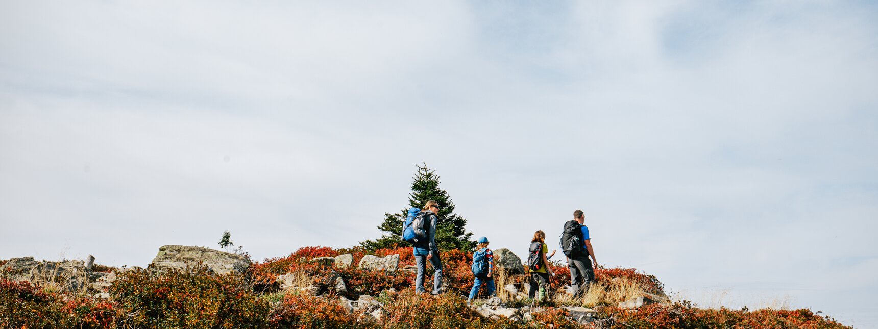 Eine Familie wandert im Herbst in der Silvretta Montafon. | © Silvretta Montafon - Vanessa Strauch