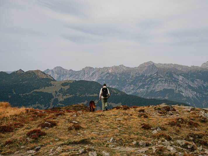 Eine Frau wandert mit Hund durch die bunt verfärbten Berge im Herbst in der Silvretta Montafon. | © Silvretta Montafon - Vanessa Strauch