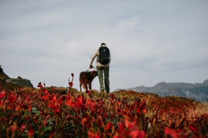 Eine Wanderin mit Hund im Herbst in der Silvretta Montafon. | © Silvretta Montafon - Vanessa Strauch