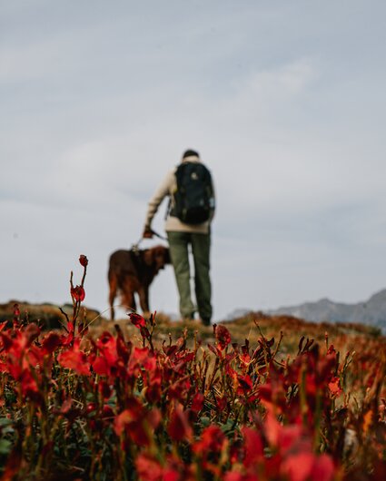 Eine Wanderin mit Hund im Herbst in der Silvretta Montafon. | © Silvretta Montafon - Vanessa Strauch