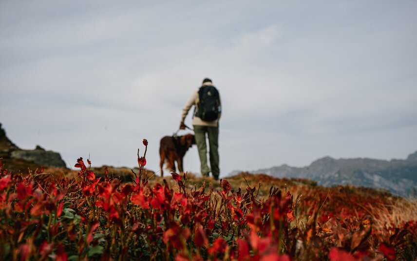 Eine Wanderin mit Hund im Herbst in der Silvretta Montafon. | © Silvretta Montafon - Vanessa Strauch