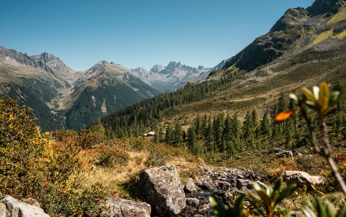 Die Aussicht auf die Alpgues aus der Ferne beim Wandern in der Silvretta Montafon. | © Silvretta Montafon - Vanessa Strauch