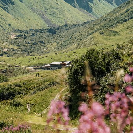 Alpe Nova - Silvretta Montafon | © Silvretta Montafon - Vanessa Strauch