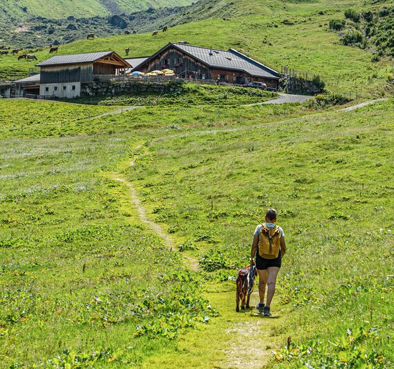 Eine Frau mit Hund läuft auf einem Wanderweg zu Alpe Nova in der Silvretta Montafon. | © Silvretta Montafon - Vanessa Strauch