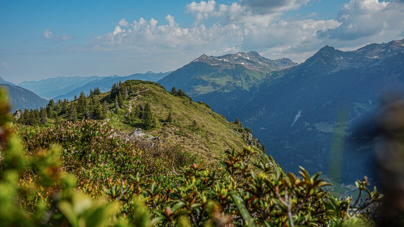 Aussicht Richtung Gantakopf in der Silvretta Montafon. | ©  Silvretta Montafon - Vanessa Strauch