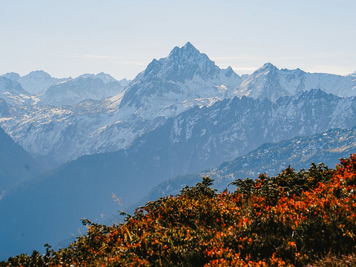 Rote Blüten und die Berge im Hintergrund bei einer Herbstwanderung in der Silvretta Montafon | © Silvretta Montafon - Vanessa Strauch