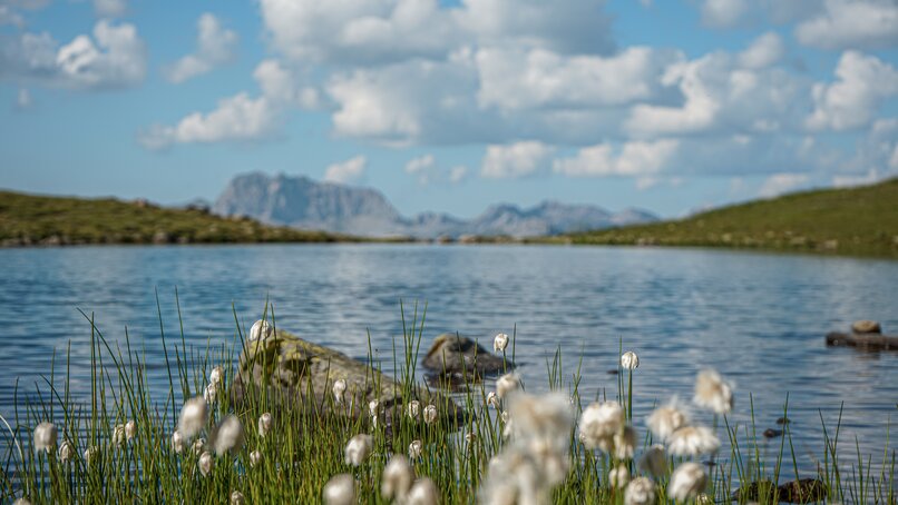 Die Natur an einem Bergsee auf 2.000 Metern Seehöhe am Hochjoch in der Silvretta Montafon. | © Silvretta Montafon - Vanessa Strauch