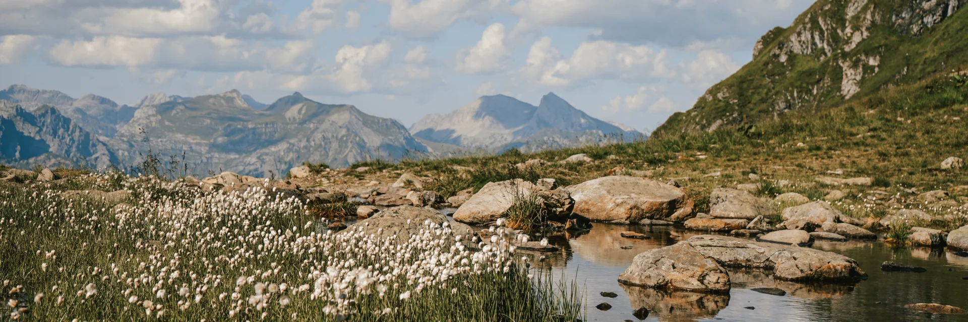 Die Natur an einem Bergsee auf 2.000 Metern Seehöhe am Hochjoch in der Silvretta Montafon. | © Silvretta Montafon - Vanessa Strauch