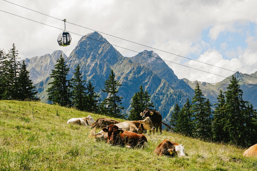 Die Valisera Bahn im Sommer vor beeindruckender Bergkulisse. | © Silvretta Montafon - Vanessa Strauch