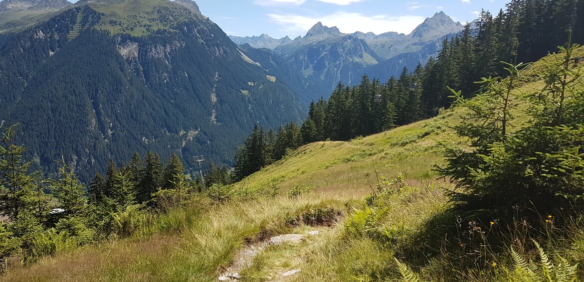 Wanderung Versettla Mitte - Silvretta Montafon | © Silvretta Montafon Wiesen und Berge am Wanderweg Versettla Mitte in der Silvretta Montafon. | © Silvretta Montafon