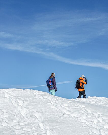 Drei Winterwanderer bei blauem Himmel in der Silvretta Montafon. | © Silvretta Montafon - Vanessa Strauch