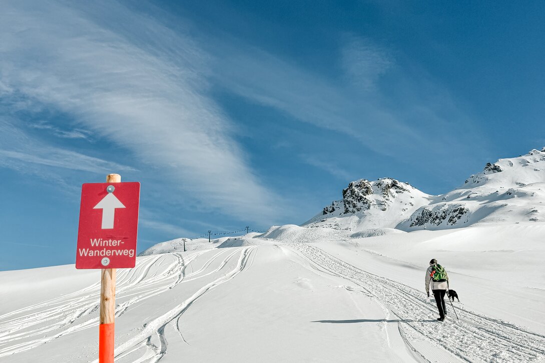 Eine Person mit Hund läuft auf einem Winterwanderweg in der Silvretta Montafon. | © Silvretta Montafon - Vanessa Strauch